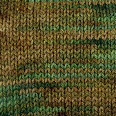 Paca-Paints Alpaca Yarn - Into the Pines