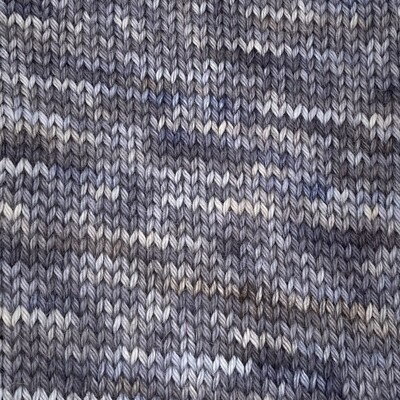 Paca-Paints Alpaca Yarn - Birches
