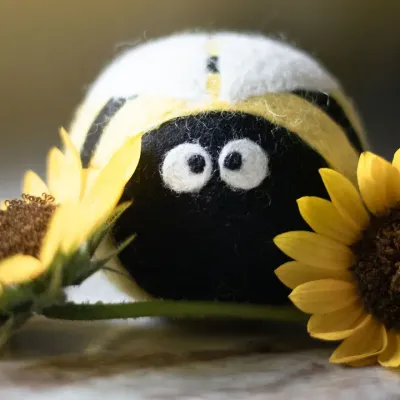 Busy Bees Eco Dryer Balls
