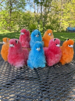 Parfait Alpacas