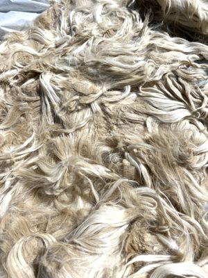Natural Suri Alpaca Fiber – Beige - 2 oz – Lorelei