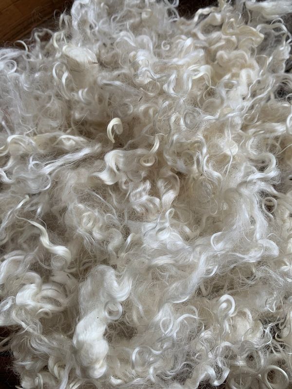 Natural Mohair - White - Mike