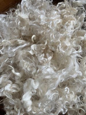 Natural Mohair - White - Mike