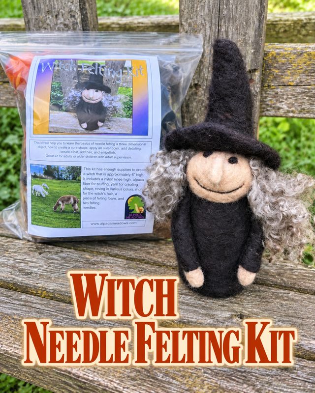 Witch Needle Felting Kit
