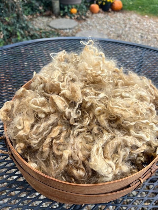 Hand-Dyed Mohair - Paw Paw