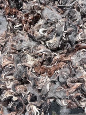 Raw Alpaca Fiber for Stuffing &amp; Crafts – 8 oz