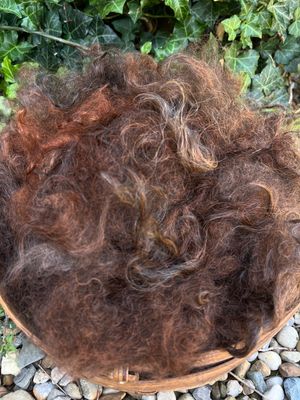 Hand-Dyed Mohair - Madder Orange Over Grey