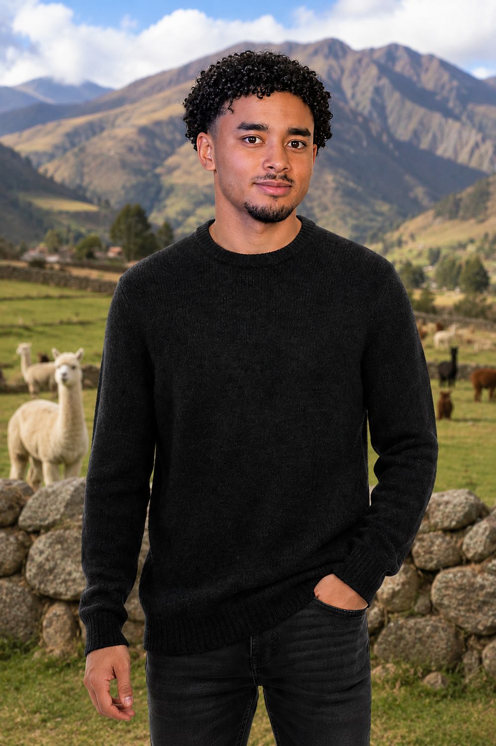 Alpaca Crewneck Sweater