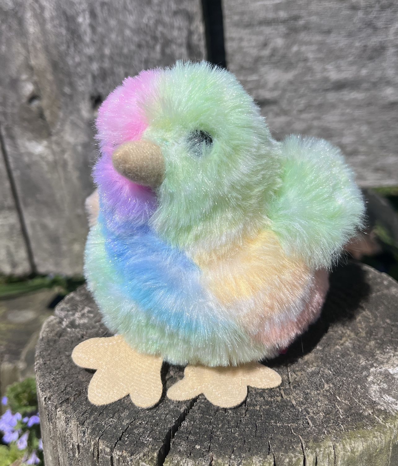 Little Chick