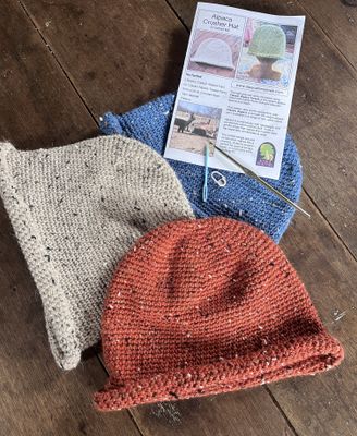 Alpaca Crusher Hat Crochet Kit