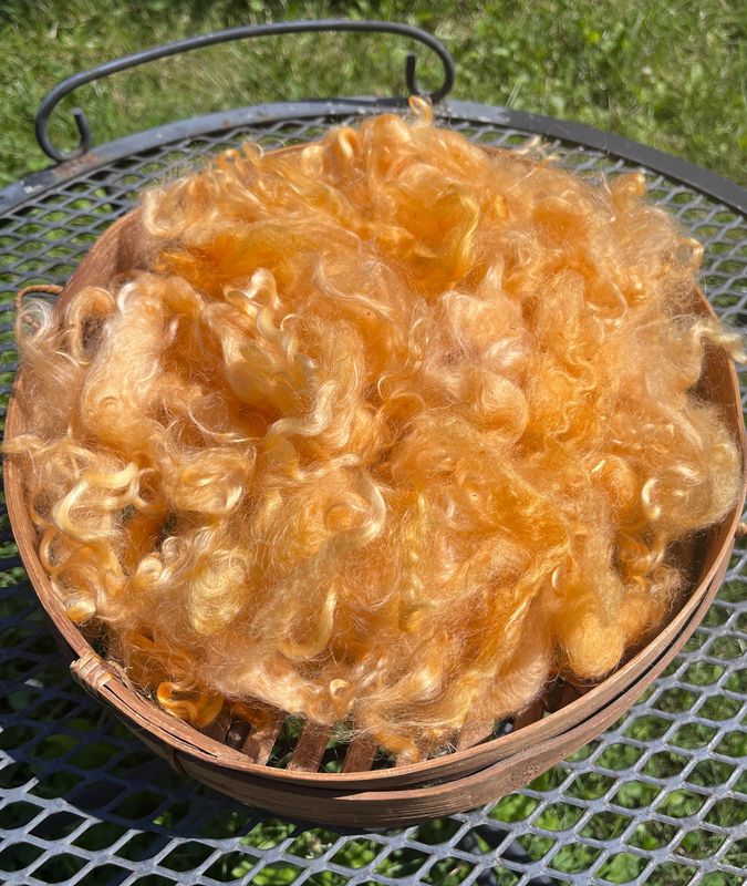 Hand-Dyed Mohair - Citrus