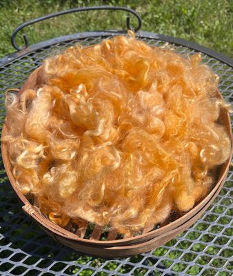 Hand-Dyed Mohair - Citrus