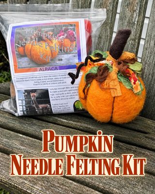 Pumpkin Needle Felting Kit