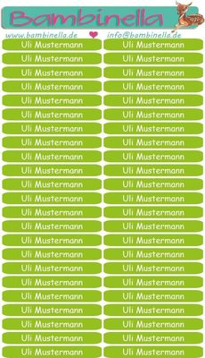 Namensticker für Stifte - hellgrün - mind. 138 Klebeetiketten - von der Namenslänge abhängig