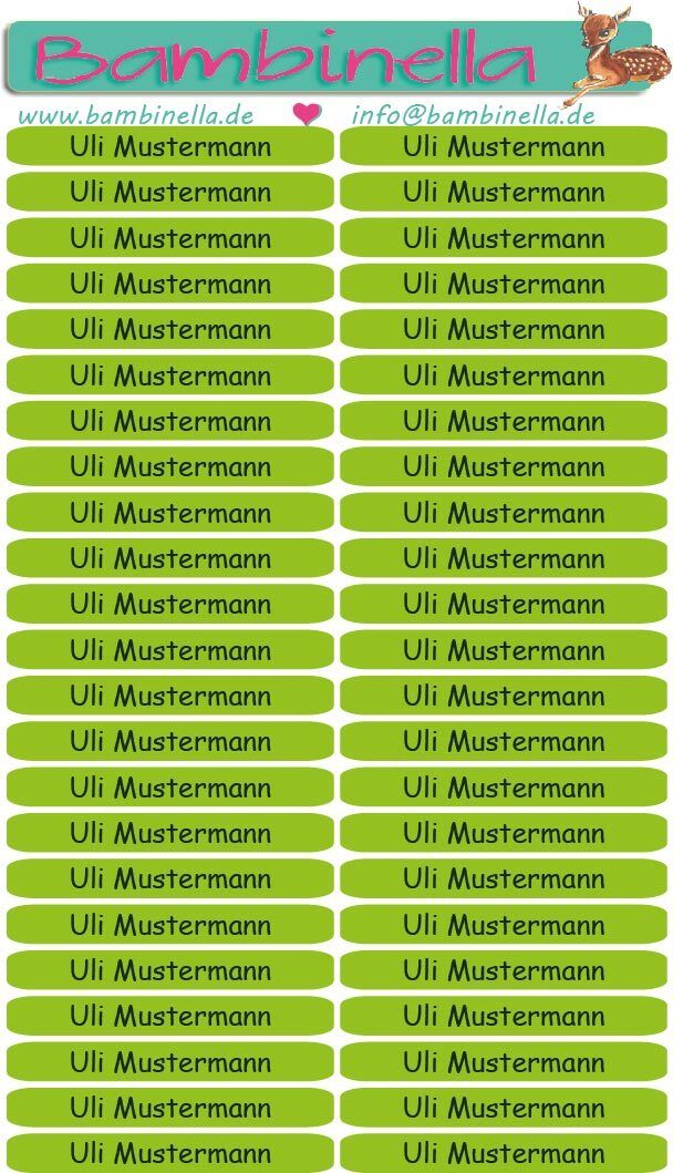 Namensticker für Stifte - hellgrün - mind. 138 Klebeetiketten - von der Namenslänge abhängig