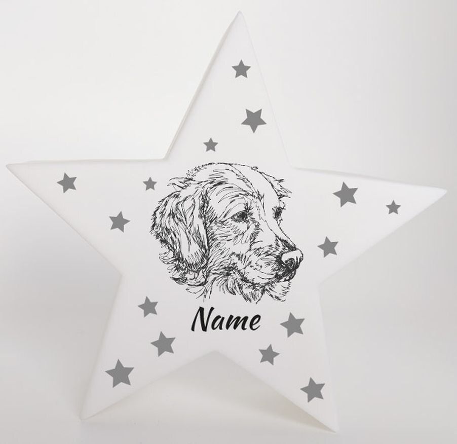 LED Deko Stern Leuchte Motiv Golden Retriever