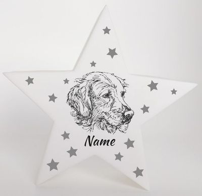 LED Deko Stern Leuchte Motiv Golden Retriever