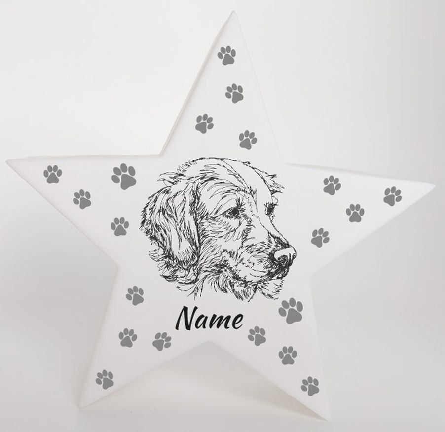 LED Deko Stern Leuchte Motiv Golden Retriever