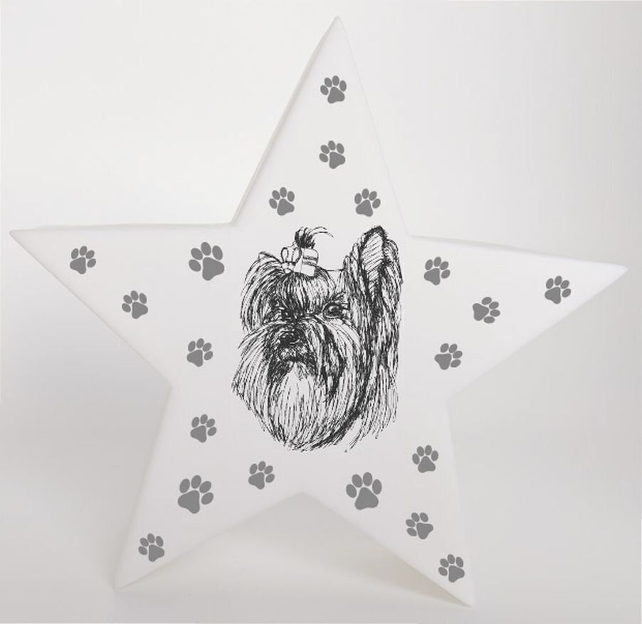 LED Deko Stern Leuchte Motiv Yorkshire Terrier - Yorkie