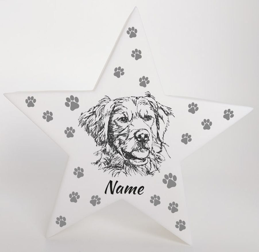 LED Deko Stern Leuchte Motiv Golden Retriever