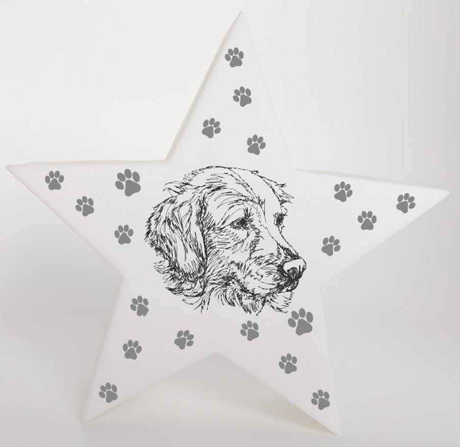 LED Deko Stern Leuchte Motiv Golden Retriever