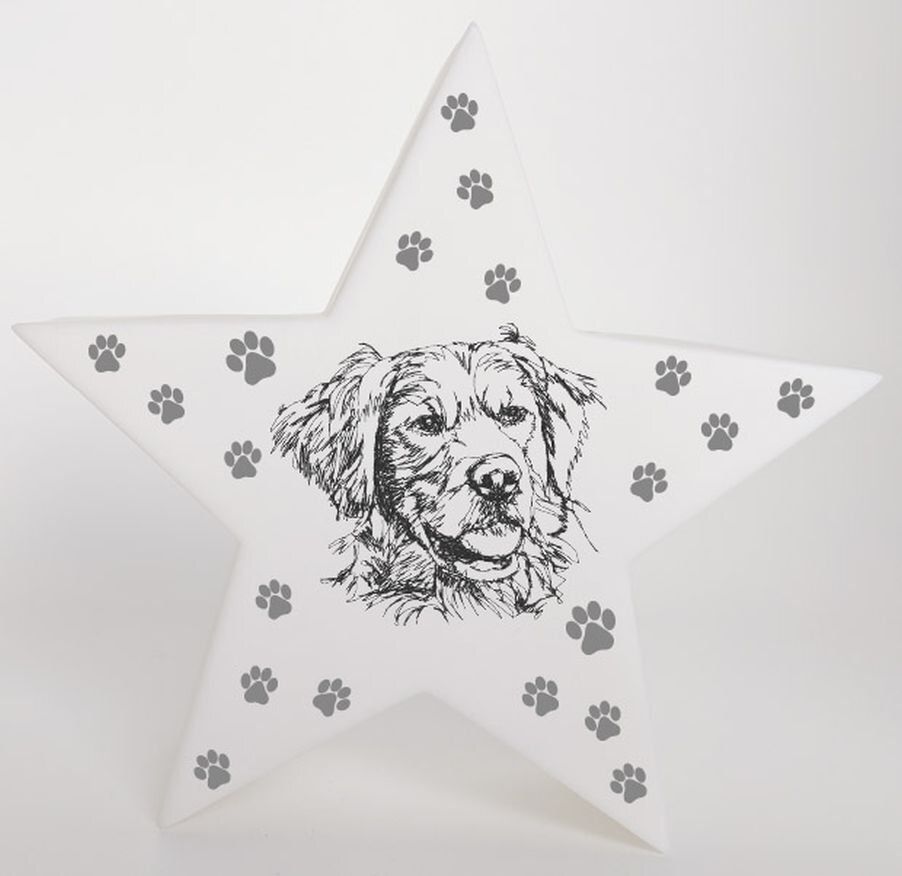 LED Deko Stern Leuchte Motiv Golden Retriever