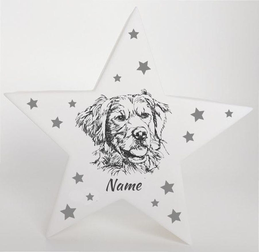 LED Deko Stern Leuchte Motiv Golden Retriever