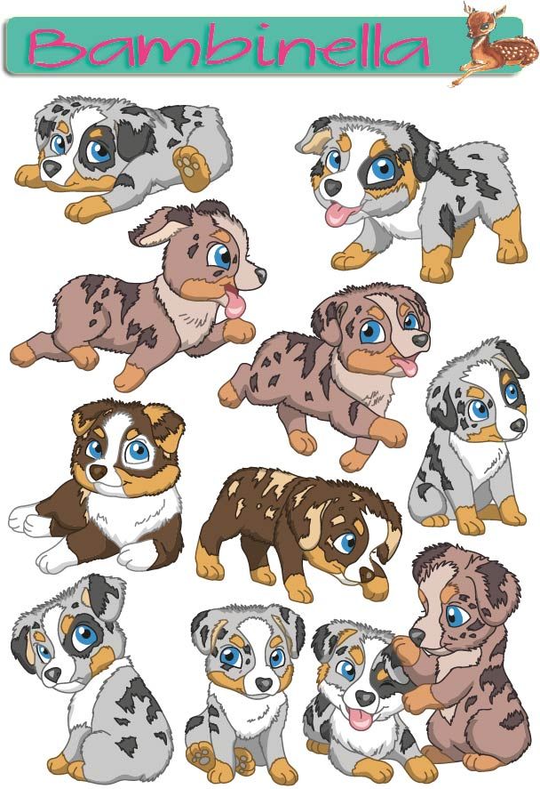 Stickerparade - Australian Shepherd - 10 Sticker