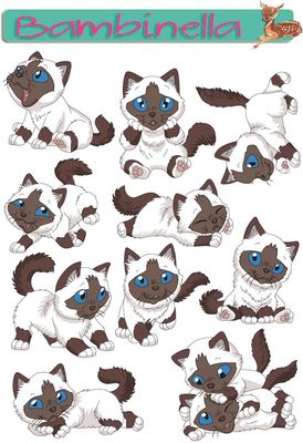 Stickerparade - Birma Katze - 10 Sticker