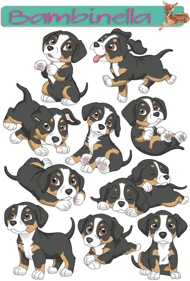 Stickerparade - Entlebucher Sennenhund - 10 Sticker