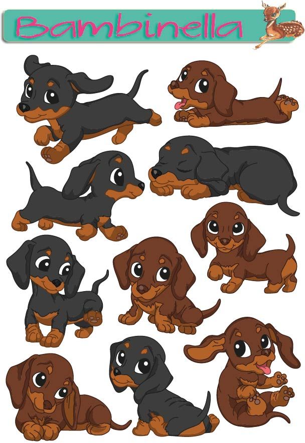 Stickerparade - Dackel- 10 Sticker