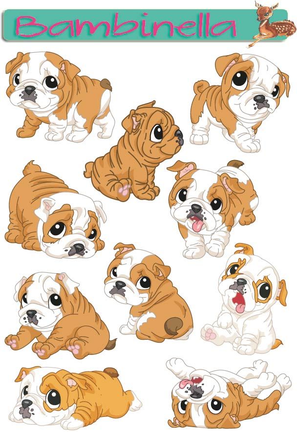 Stickerparade - Englische Bulldogge - 10 Sticker