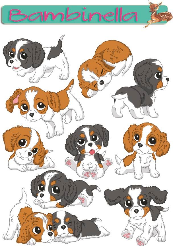 Stickerparade - Cavalier King Charles Spaniel - 10 Sticker
