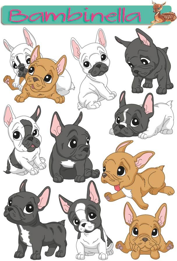 Stickerparade - Französische Bulldogge - 10 Sticker