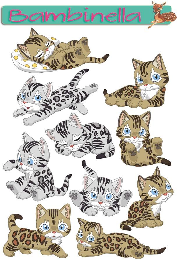 Stickerparade - Katze Bengalkatze  - 10 Sticker