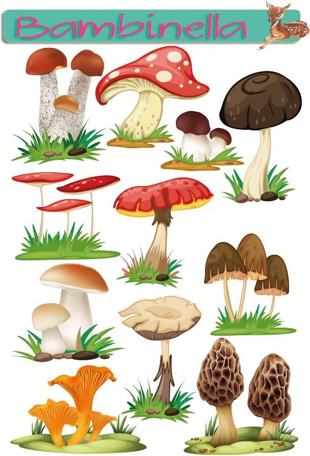 Stickerparade Klebesticker - Pilze - 10 Sticker