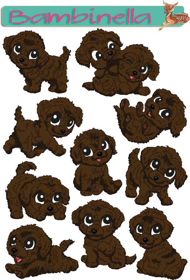 Stickerparade - Pudel - 10 Sticker