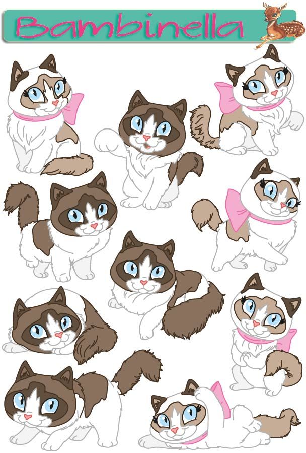 Stickerparade - Ragdoll Katze  - 10 Sticker