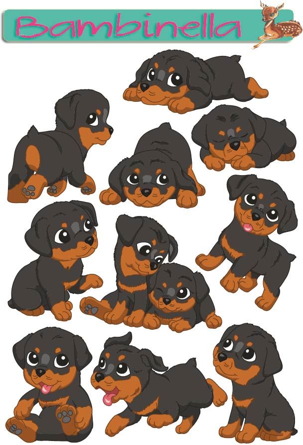 Stickerparade - Rottweiler - 10 Sticker