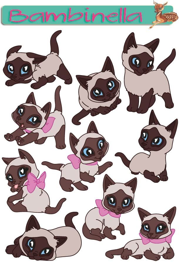 Stickerparade - Siamesische Katze - 10 Sticker