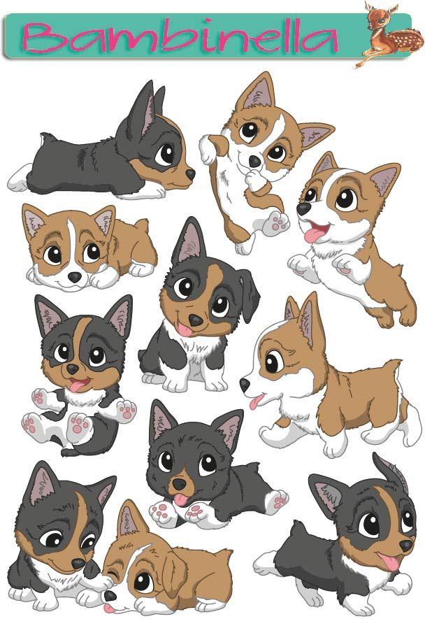 Stickerparade - Welsh Corgi Pembroke - 10 Sticker