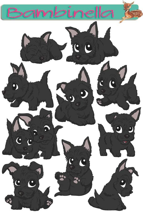 Stickerparade - Scottish Terrier - 10 Sticker