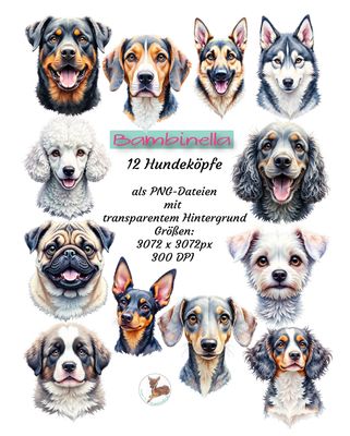 12 Hundeköpfe PNG • Realistische Hunde Illustrationen