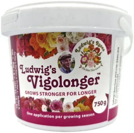 Ludwig's Vigolonger 750g