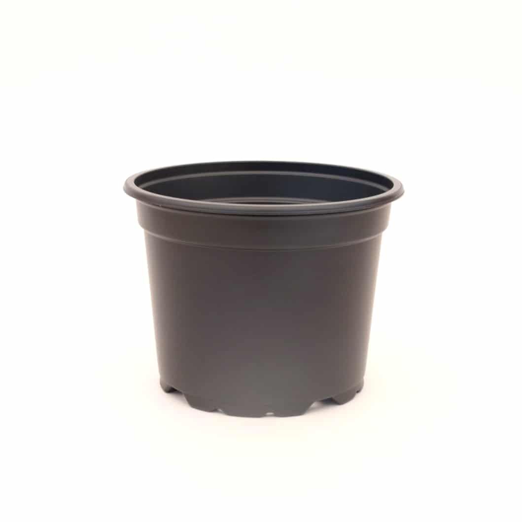 POT 17CM BLACK KIEFEL HIPS