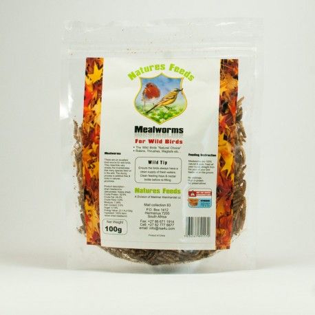 Dried Mealworms 100g