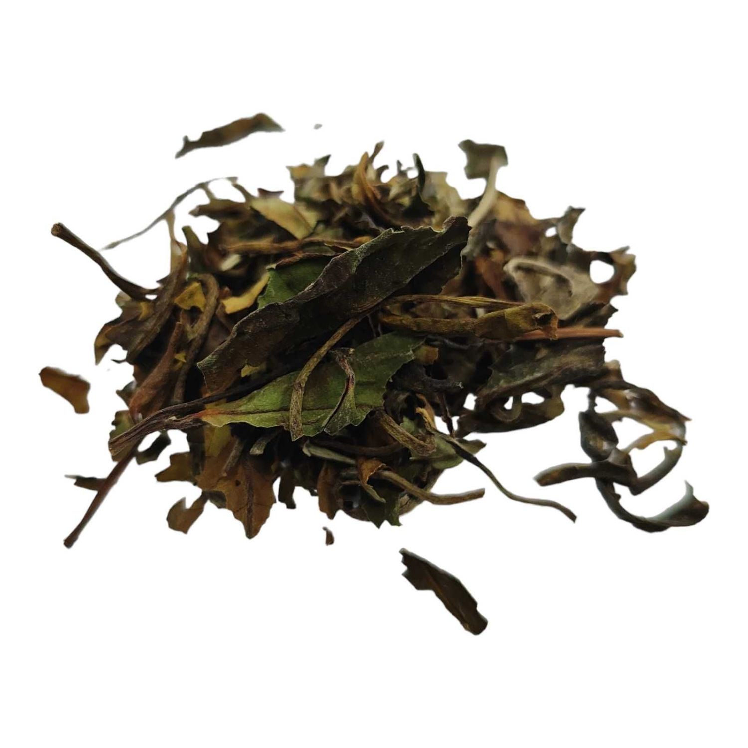 Te Blanco Pai Mu Tan Te Blanco Pai Mu Tan