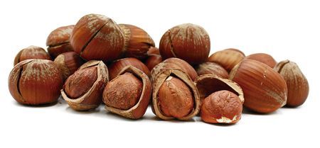 Avellana con Cáscara Avellana con Cáscara