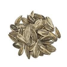 Girasol con Cáscara