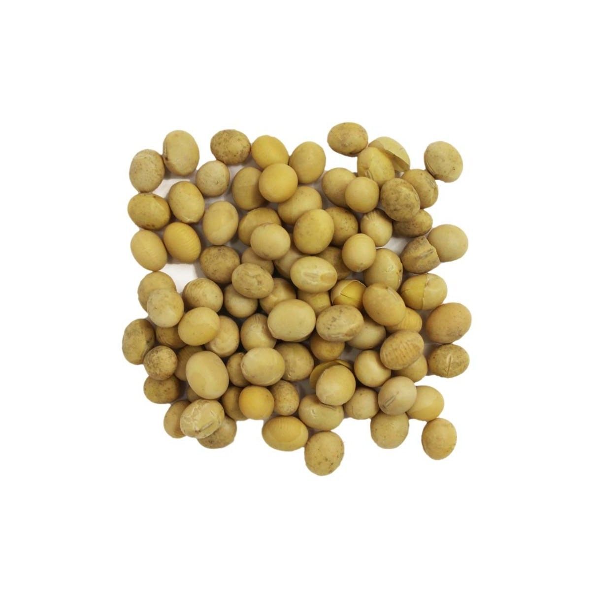 Soja Blanca (Amarilla) Soja Blanca (Amarilla)